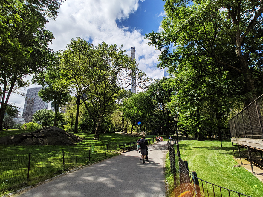 ニューヨーク旅行　セントラルパーク　central park