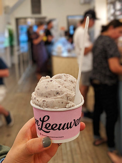 ニューヨーク　旅行　ビーガンアイス　Van Leeuwen　Ice Cream　アイス　ビーガン