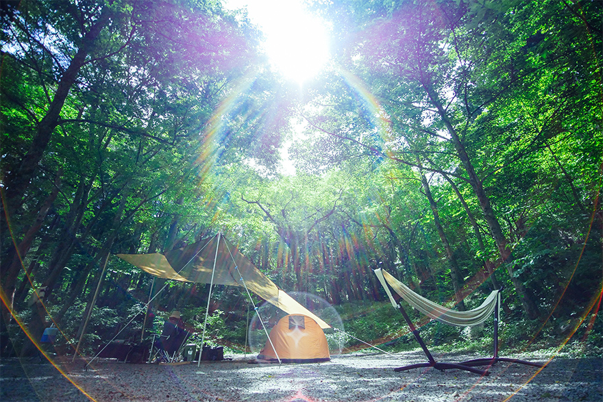 森の中のキャンプ